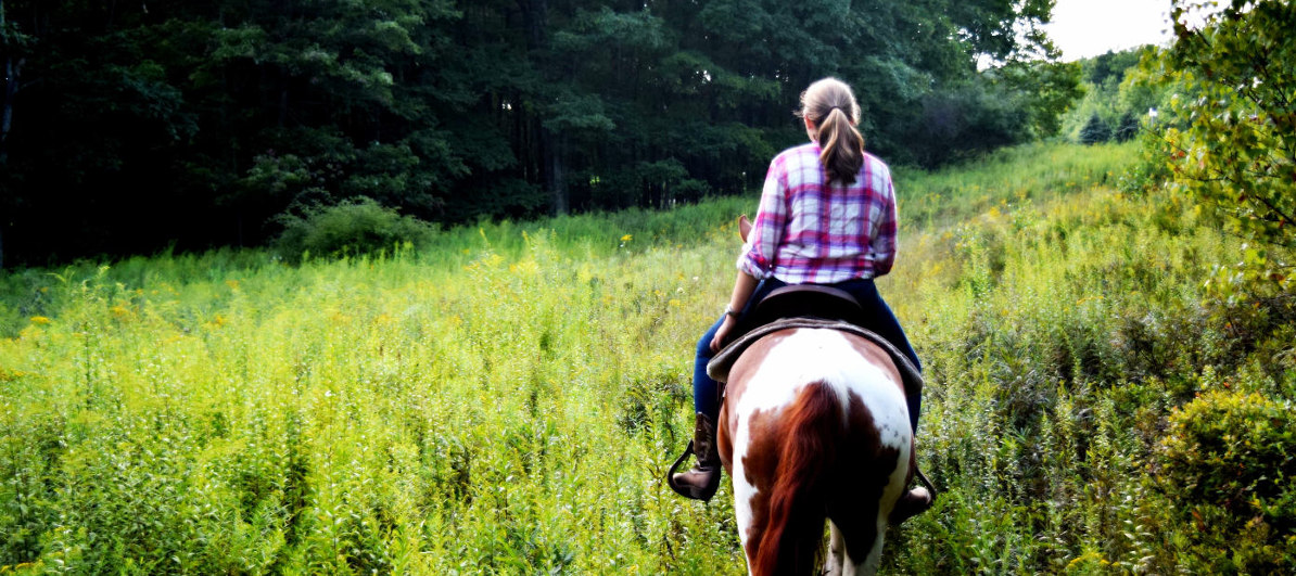 Ride through meadow on mountain laurel riding stable group trail ride
