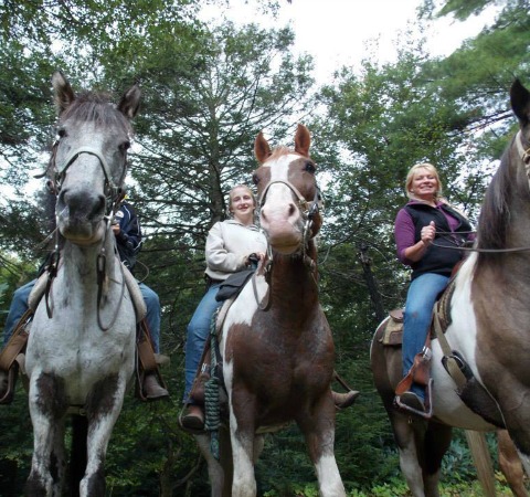 Mountain creek rides, Horses & staff lined up along trail