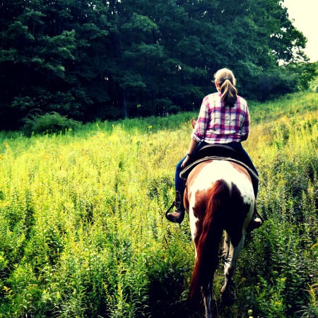 Mountain laurel riding stables, group trail rides
