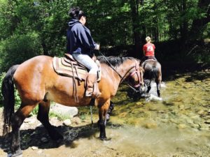 Two horses with riders walking slowly through the creek at Mountain Creek Stables.