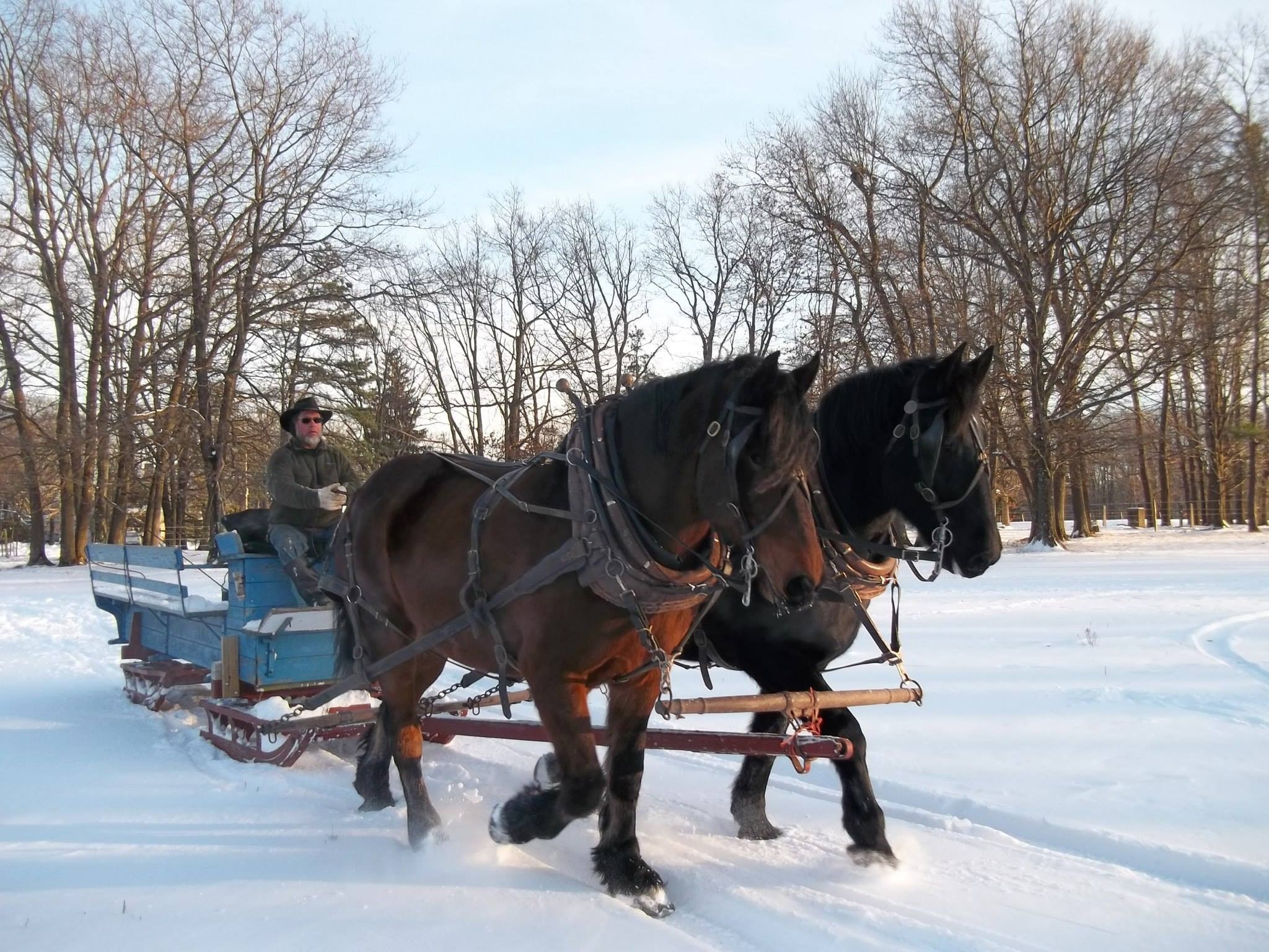 Horse-Drawn Winter Sleigh Rides In The Poconos, PA | Mountain Creek