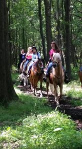 A trail ride through the woods at Mountain Creek Riding Stable.