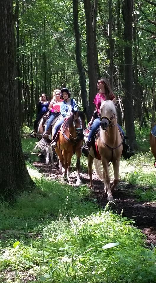 A trail ride through the woods.