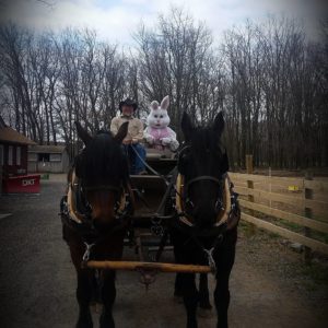 A two-horse wagon ride with the Easter Bunny: Ranch at Pocono Manor