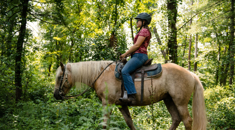 women riding a horse properly displaying what to wear horseback riding