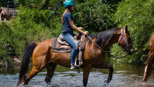 woman in jeans, tshirt, and helmet on brown horse crossing creek