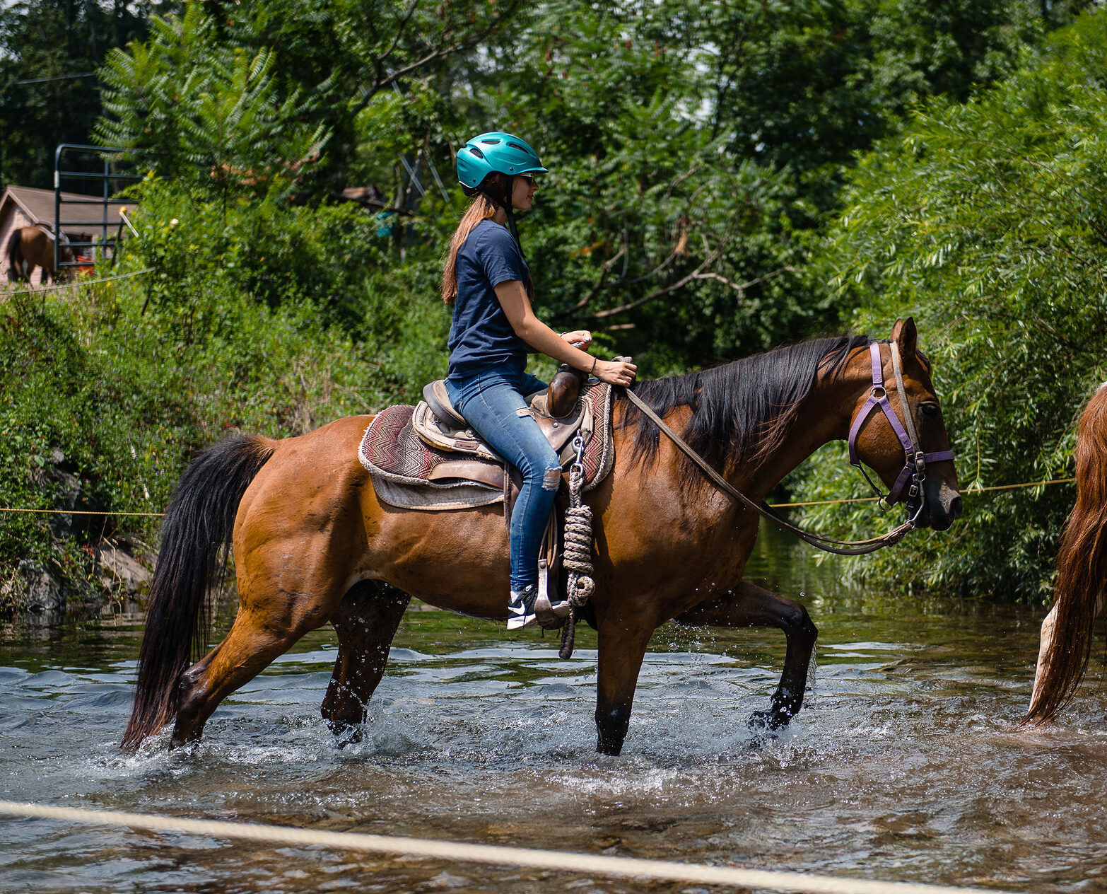 woman in jeans, tshirt, and helmet on brown horse crossing creek