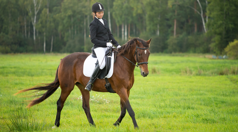 English horseback rider riding in an open field