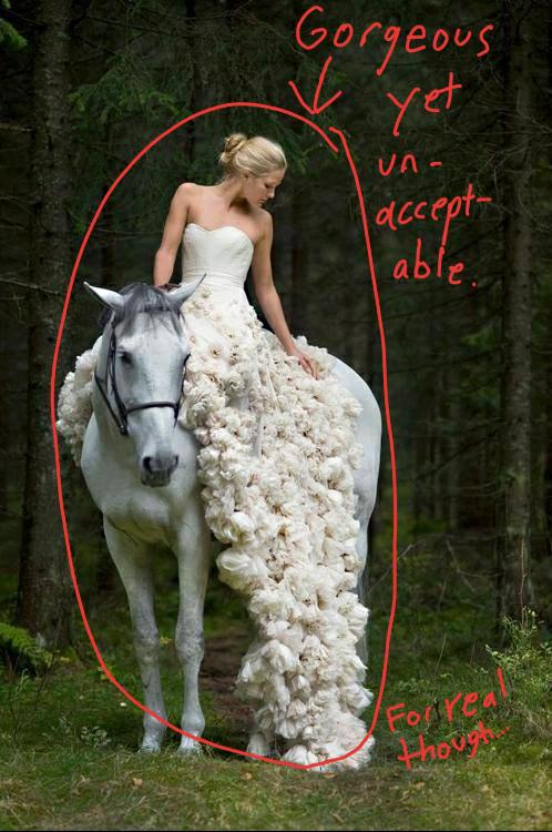 A woman in a flowing wedding dress sits atop a grey horse. They are circled in red and the words "Gorgeous yet unacceptable" are written around them. At the bottom of the picture it says "For real though..."