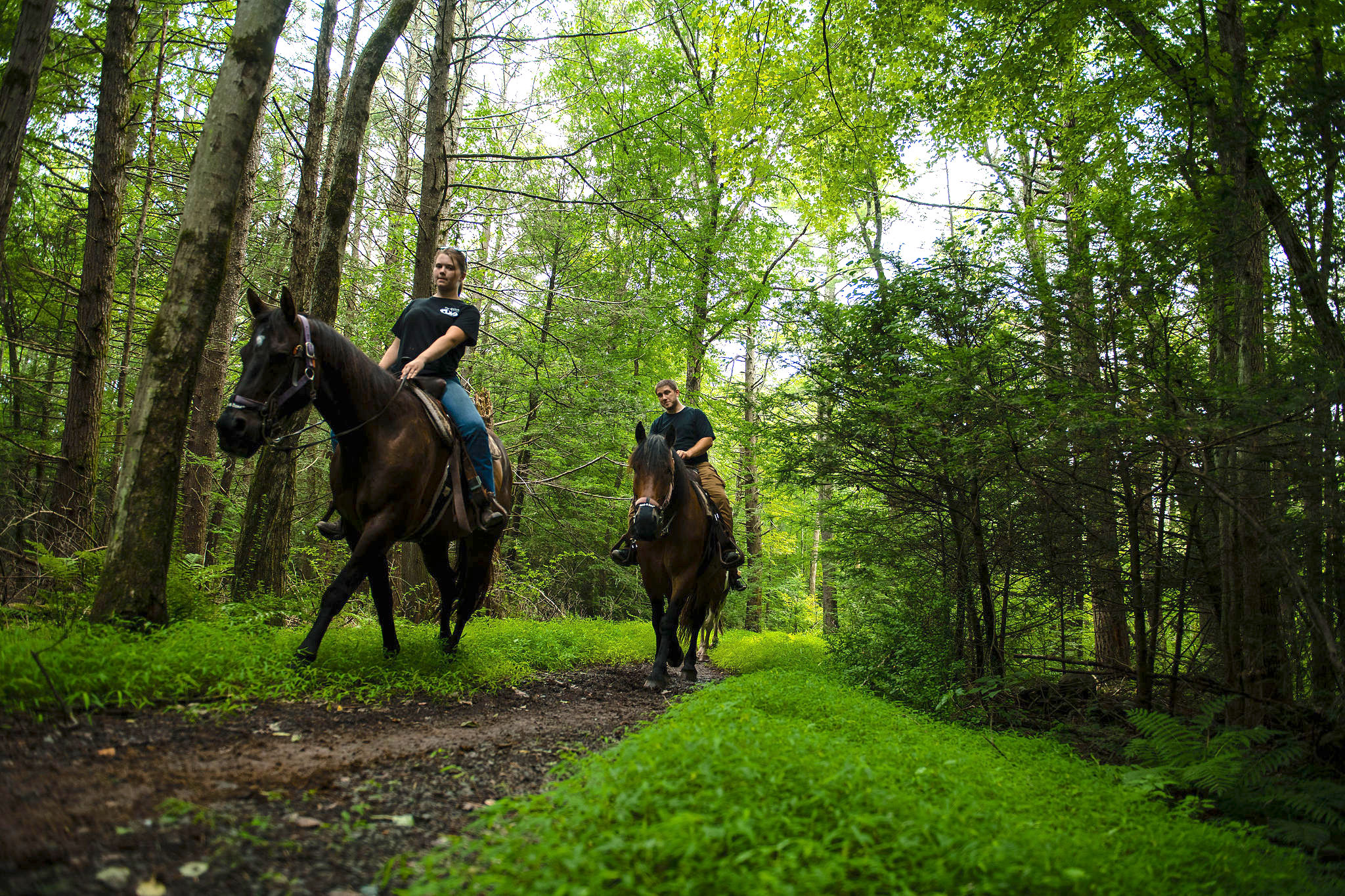Mountain Creek Riding Stables Couple on Horseback in Woods