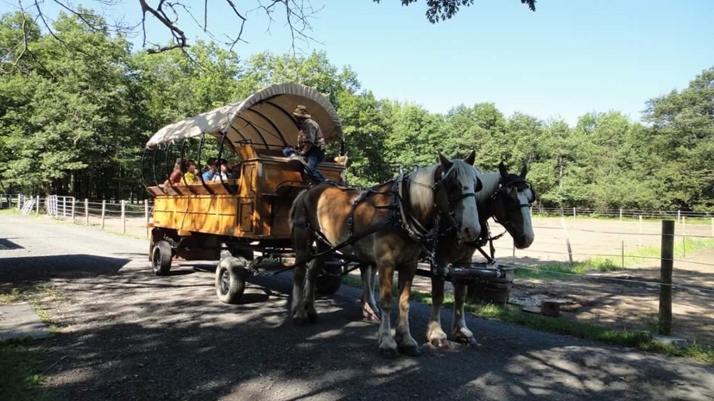 Poconos Family Getaway: Ranch at Pocono Manor Wagon with two horses