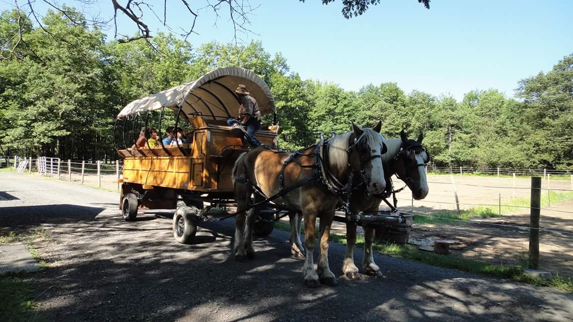 Wagon with two horses