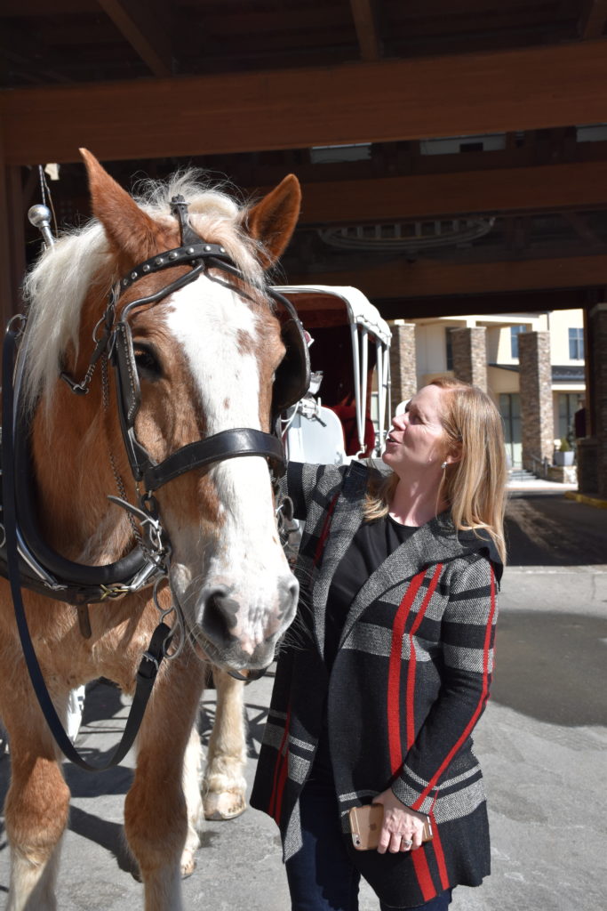 how-to-get-over-your-fear-of-horses-mountain-creek-stable