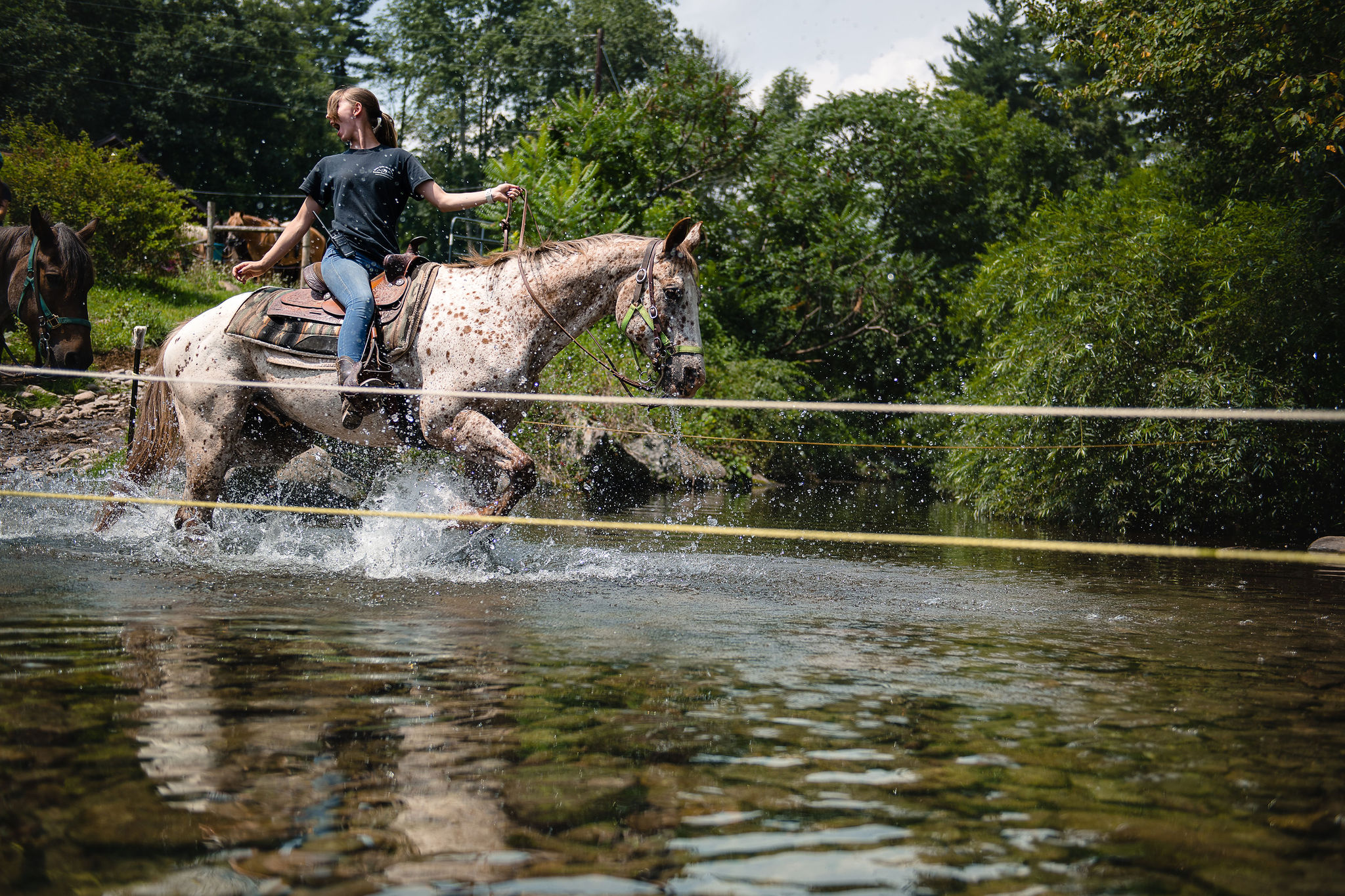 Horse Riding Stables in PA & Horseback Riding Near NYC