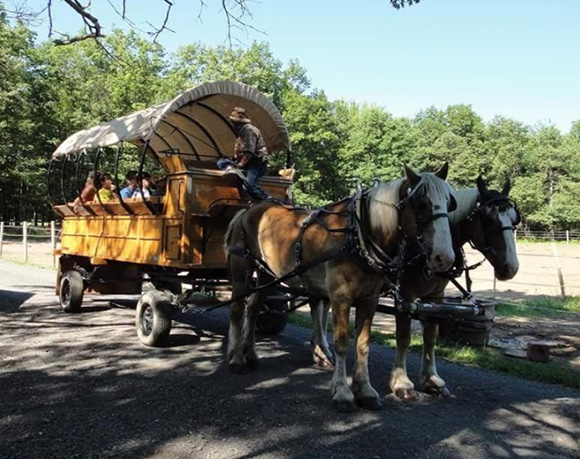 family wagon ride in Pocono Mountains