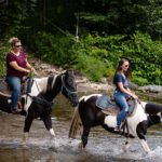 Guided Horseback Riding for Beginners
