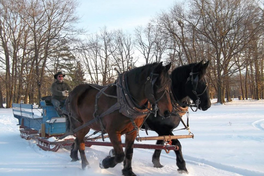 winter sleigh rides in the Poconos