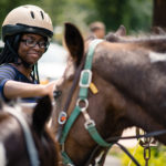 beginner horse riding helmets