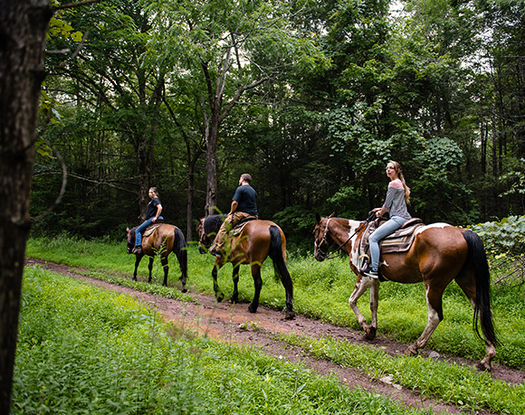 Three People on Horseback Riding Through the Pocono Mountain Trails