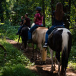 guided horseback group rides near the Poconos