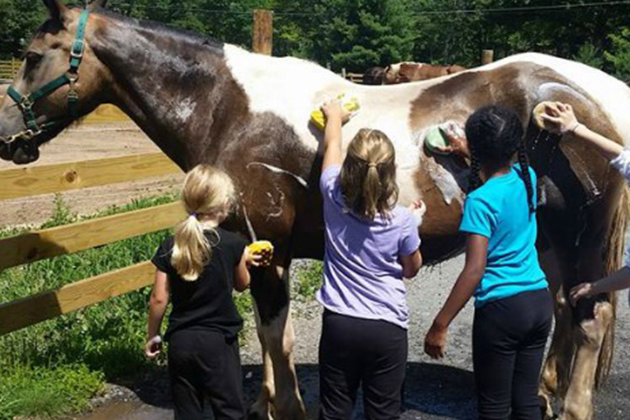 kids activities with horses near Pocono Mountains