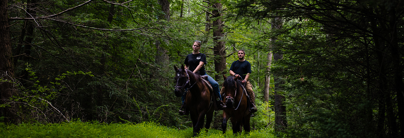 Horseback Trail Riding