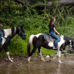group horseback riding in the Pocono Mountains