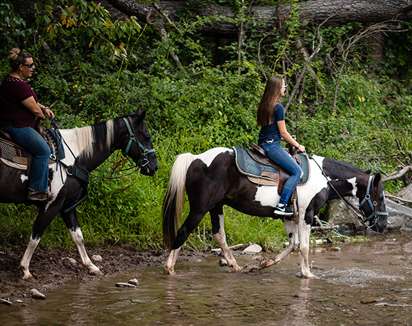 group horseback riding in the Pocono Mountains