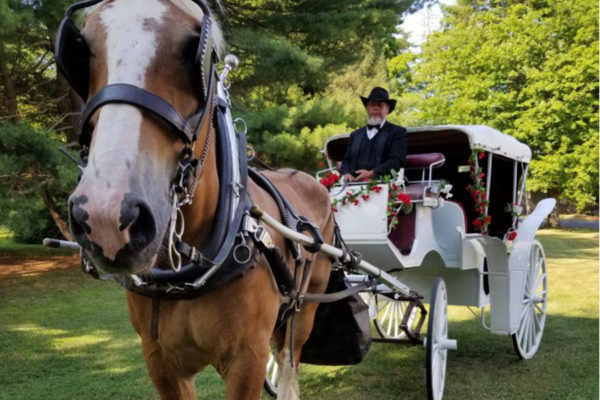 horse-drawn wedding carriage rentals