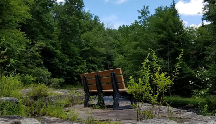 Sitting Bench in Promised Land State Park for Hikers