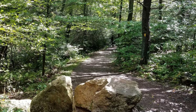 Hawks Fall Trail Head in Poconos