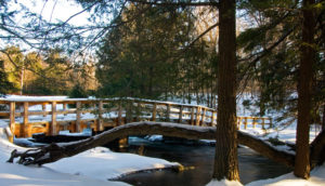 Bridge During Winter at Promised Land State Park