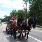 Horse-Drawn Wagon Ride Along Road in Pocono Mountains