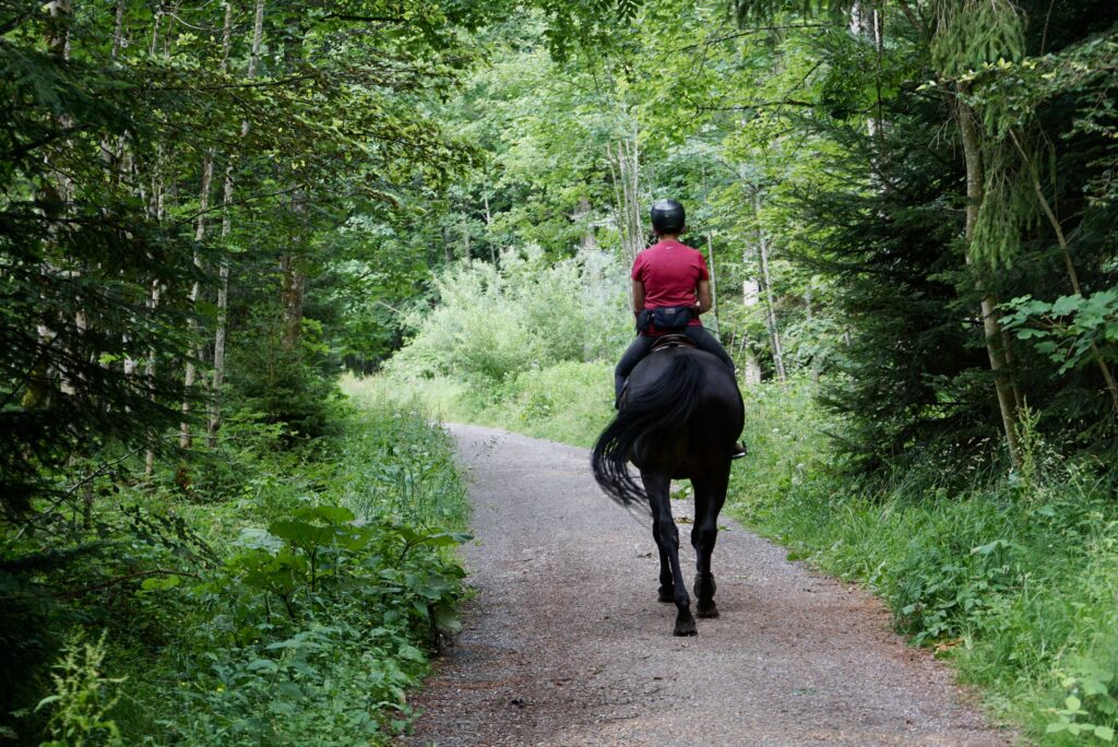 woman on horse riding on wooded trail