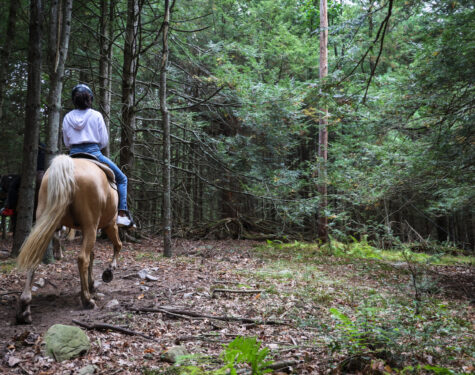 Girl on Horseback Wearing Helmet on Wooded Trail in the Poconos