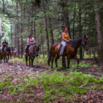 Group Horseback Trail Ride in Woods in Poconos Mountains