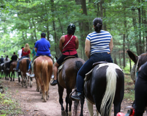 Group of People on Horseback on Wooded Trail in the Poconoss