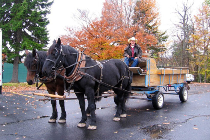 Horseback Riding for Kids - Mountain Creek Riding Stable