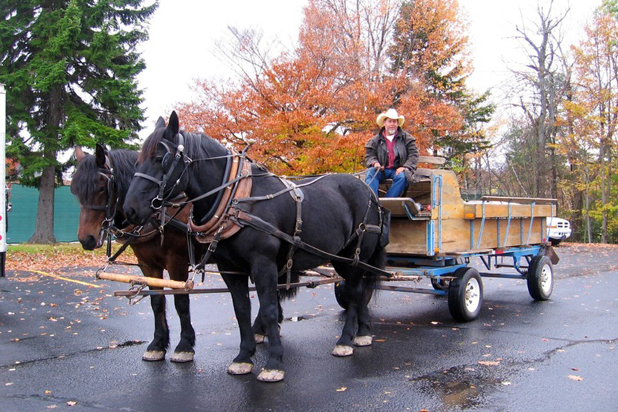 Horse-Drawn Wagon Ride in Pocono Mountains During Fall