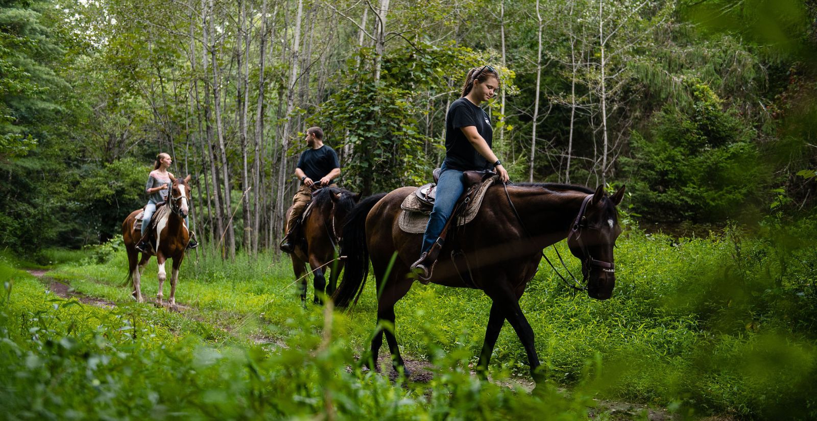 Journey Through the Poconos on Horseback