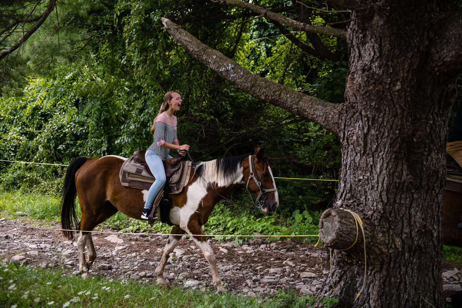 Pony Rid Horseback Riding Near Philadelphia - Group Trail Rides