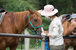 Woman in Pink Sunhat Petting Brown Horse