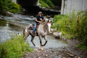 Woman Riding White and Brown Spotted Horse Through Shallow Stream
