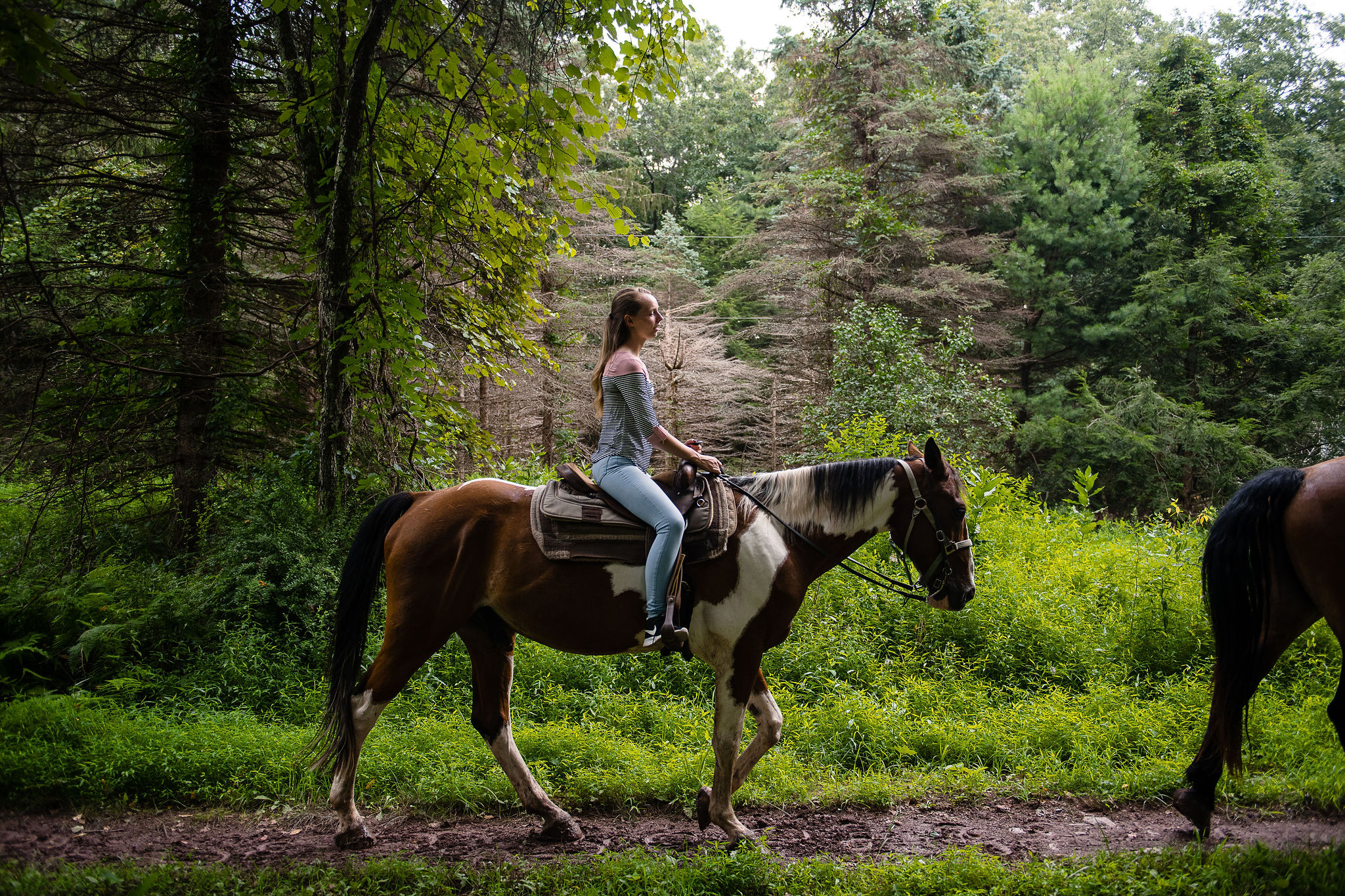 Woman on Horseback Trail Ride in Woods during Springtime