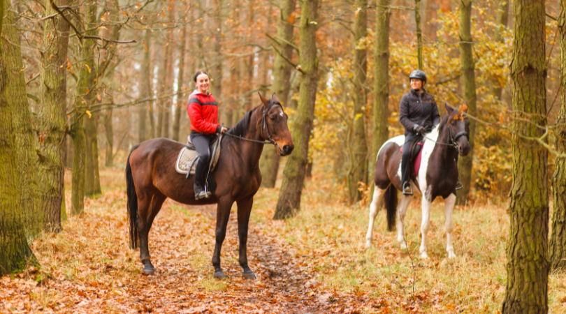 Two women riding brown horses through the woods surrounded by leaves in the fall.